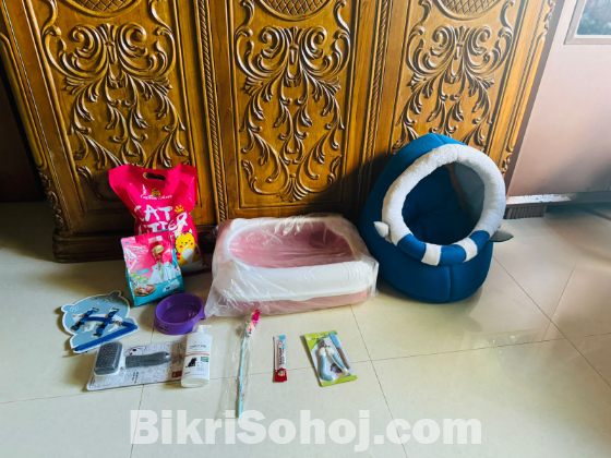পার্সিয়ান বিড়াল